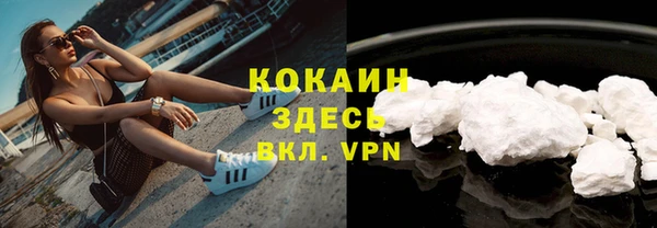 соль ск Белокуриха