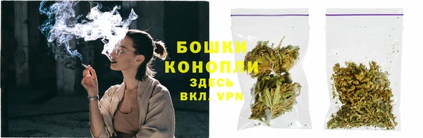 соль ск Белокуриха