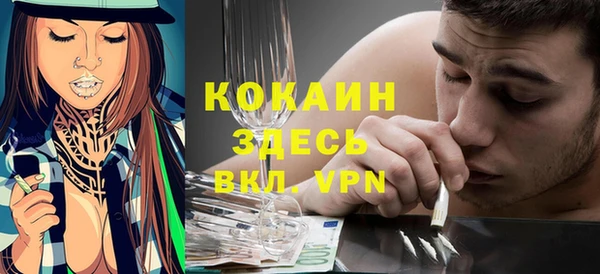 соль ск Белокуриха