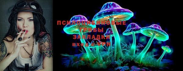 соль ск Белокуриха